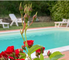 B&B Il Casale Del Ginepro